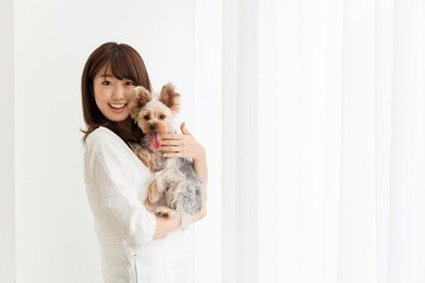 attractive asian woman with dog in the room