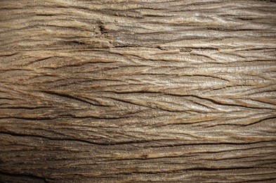 wood texture with natural pattern