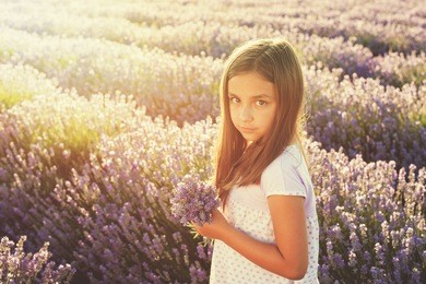 little girl in a field of lavender - copy space
