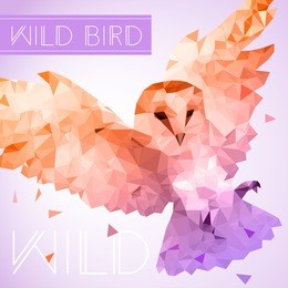 flying owl in low poly style