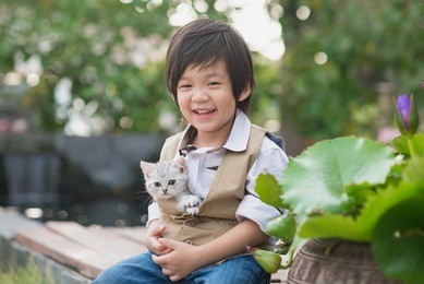 cute asian boy  holding american short hair  kitten with sunshine in the park,vintage filter