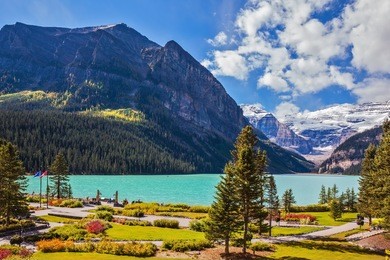 banff national park, rocky mountains, canada. flowers on the embankment of glacial lake louise.  emerald lake is surrounded by mountains, glaciers and pine forests