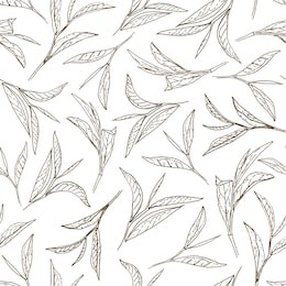 tea leaves. botanical style seamless pattern