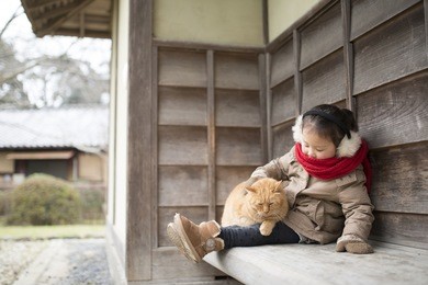girl playing with cat