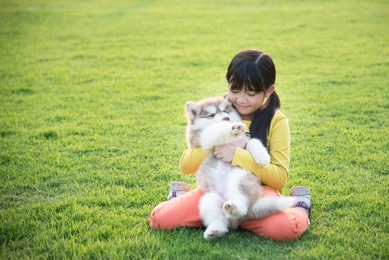 beautiful asian girl playing with siberian husky puppy in the park