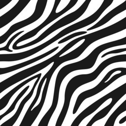 trendy seamless zebra stripes background. vector pattern