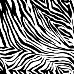 zebra pattern. seamless background.