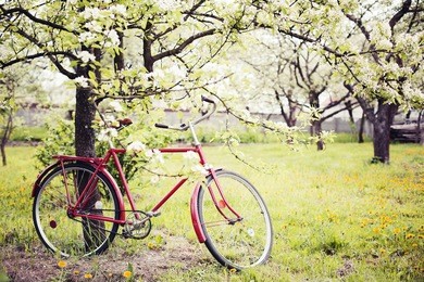 vintage bicycle waiting near tree against spring nature background