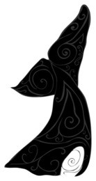 killer whale (orca) tail decorated with traditional maori design
