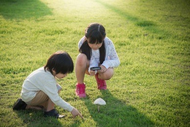 cute asian children picking mushroom in the park