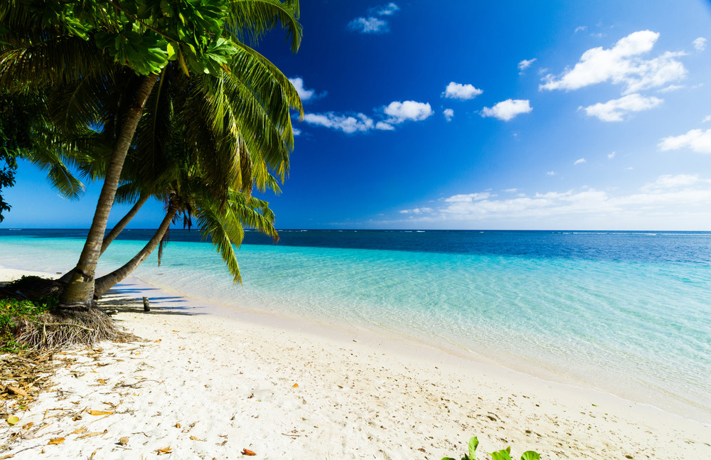 coconut trees on big sunny beach with crystal clear blue sea on pacific island