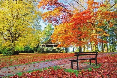 autumn in stratford park, stroud, the cotswolds, gloucestershire, united kingdom
