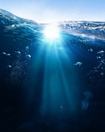 ocean life illustration  with underwater part full of life and skylight split by waterline