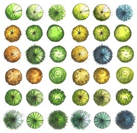 hand drawn marker trees, top view, raster