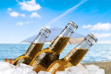 beer.
