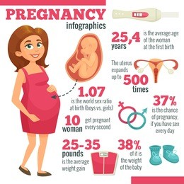 pregnancy infographics with pregnant woman embryo uterus test and real statistics vector illustration