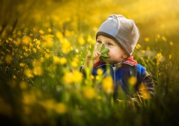 boy sitting and playing on field of yellow flowers. spring baby portrait.