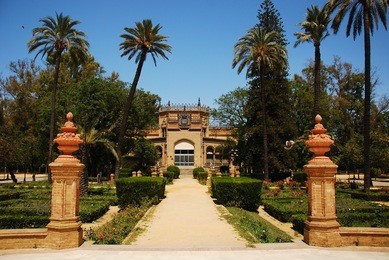 maria luisa park - botanic garden.  seville, andalusia, spain.