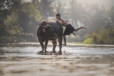 the joy of a country boy