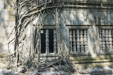 ruins beng mealea temple of cambodia