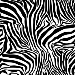 zebra stripes. background. pattern. a seamless pattern.  mosaic. illustration.