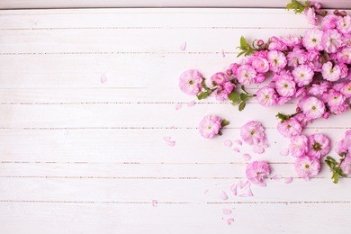 background with bright pink   flowers on white  wooden planks. selective focus. place for text. 