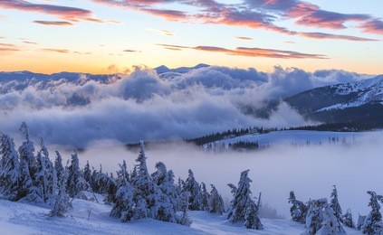 winter landscape. sunrise in the mountains. beautiful world. christmas scene. carpathians, ukraine, europe.