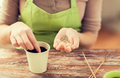 people, gardening, seeding and profession concept - close up of woman hands with paper bag and trowel sowing seeds to soil in pot