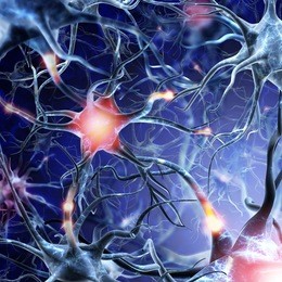 neural network on a blue background with light effects. active neurons brain connections nervous system. a high resolution.