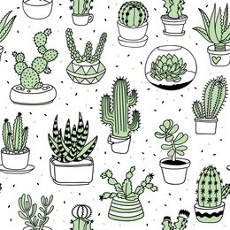 hand-drawn succulents and cactus doodle pattern