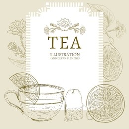 tea hand drawn elements vintage tea sketch vector