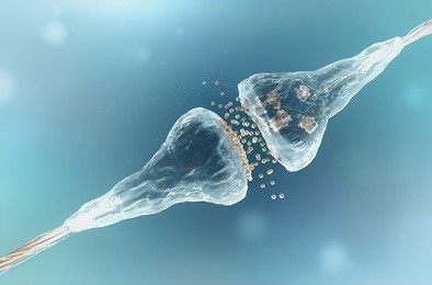 synapse and neuron cells sending electrical chemical signals