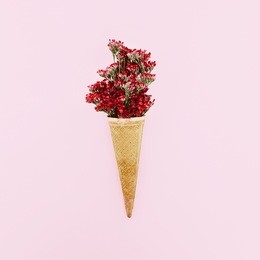 flowers in waffle cone. feel the taste of spring. minimalism art design