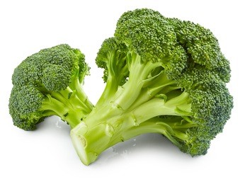 fresh broccoli isolated on white background