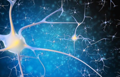 neurons in the brain on a black and blue background.