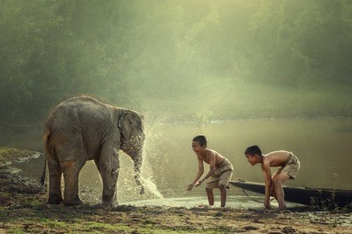 two boys are playing splashing water with baby elephant at pond
