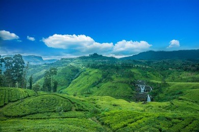 beautiful st.clairs waterfall landscape in sri lanka