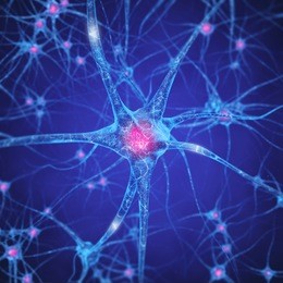 neuron , brain cell , neurotransmitters