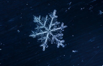 natural snowflakes
photo real snowflakes during a snowfall, under natural conditions at low temperature