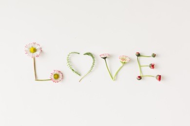 "love" made of flowers and leaves on white background.