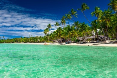 tall coconut palm trees over tropical island resort beach in fiji
