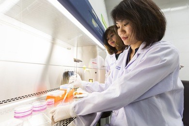 microbiological pipette in the genetic laboratory