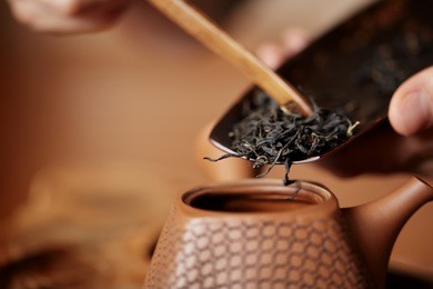 master prepares chinese tea leaves for home ceremony closeup concept image