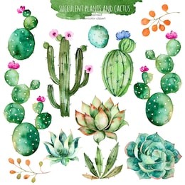 set of high quality hand painted watercolor elements for your design with succulent plants,cactus and more.perfect for your project,wedding,greeting card,photos,blogs,wreaths,pattern and more