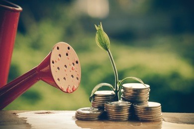 money and plant with hand with filter effect retro vintage style