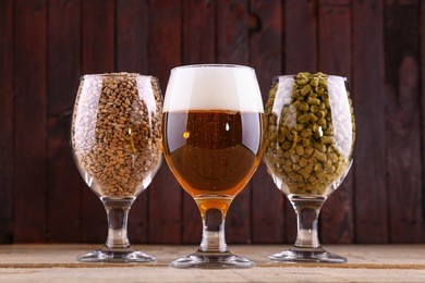 glasses of beer, malt and hops over a wooden background