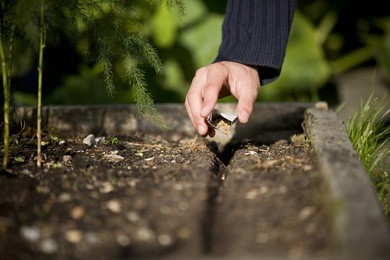 a male gardener sowing seeds on an allotment