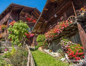 wood chalets and garden  in mountain village murren at jungfrau region, switzerland.