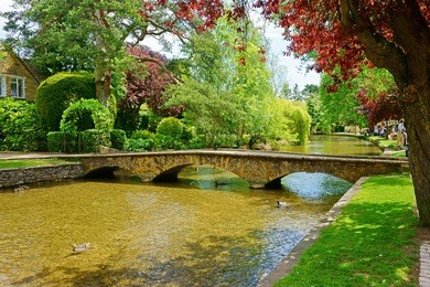 a beautiful summer day showing the river windrush flowing through bourton on the water, also known as the venice of the cotswolds, gloucestershire, england, united kingdom