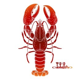 graphic vector lobster drawn in line art style. sea and ocean creature isolated on white background in red colors. top view. seafood element. coloring book page design